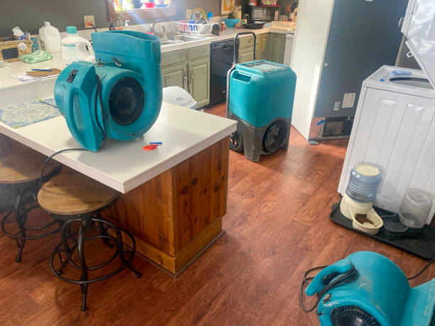 Best Basement water damage restoration  in Rosemont, CA