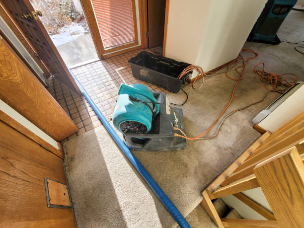 Best Mold removal after water damage  in Rosemont, CA
