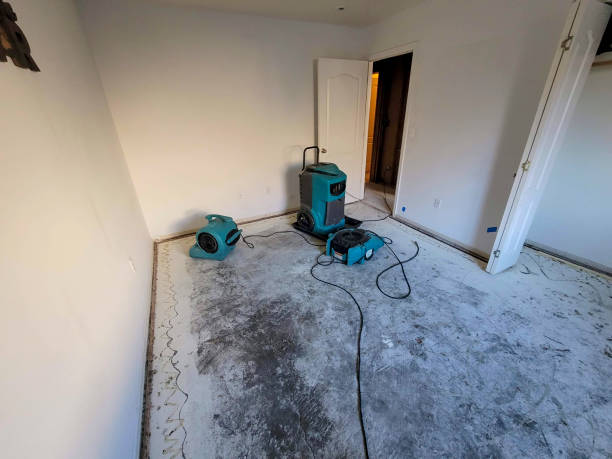 Best Water damage cleanup near me  in Rosemont, CA