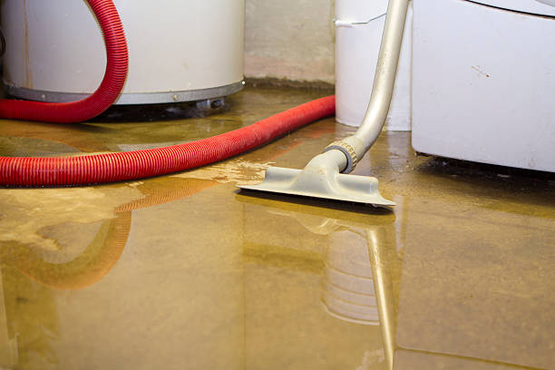 Best Fire Damage Restoration  in Rosemont, CA