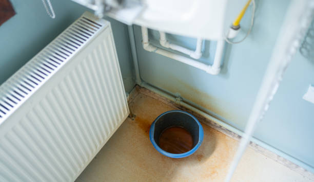 Best Flood restoration services  in Rosemont, CA