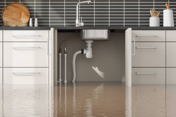 Water damage restoration insurance claims in Rosemont, CA