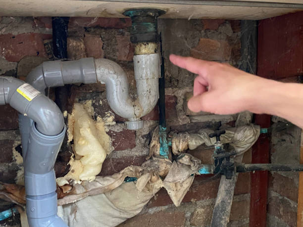 Trusted Rosemont, CA Water damage restoration Experts